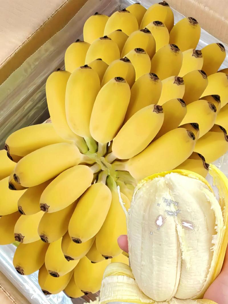 芒果批发新观察：市场趋势与策略